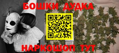 бошки Новодвинск