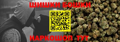 2c-b Новозыбков